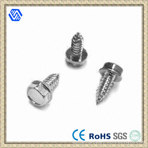 Hex Head with Flange Stainless Steel Screw (BL-0001)